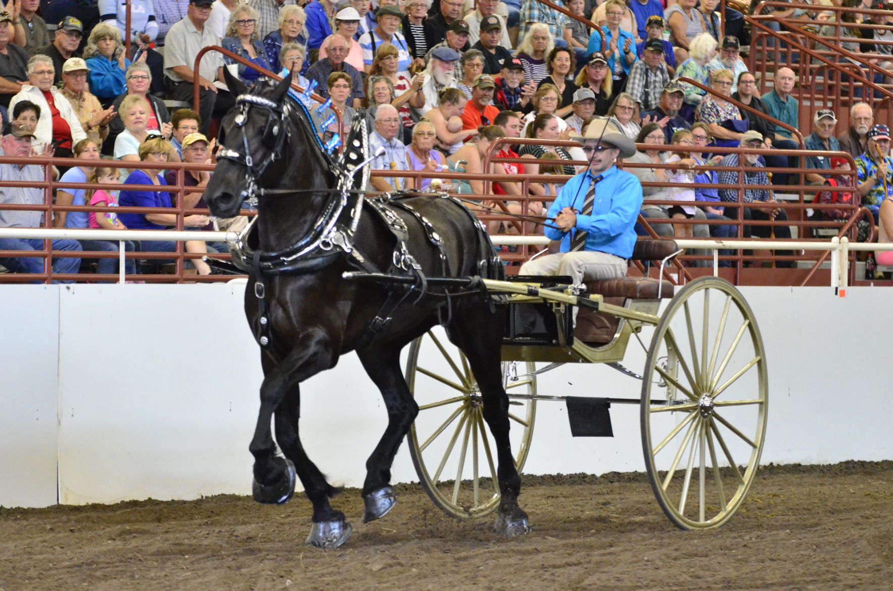 8-25-19 Draft Horse Hitch Final (46).JPG